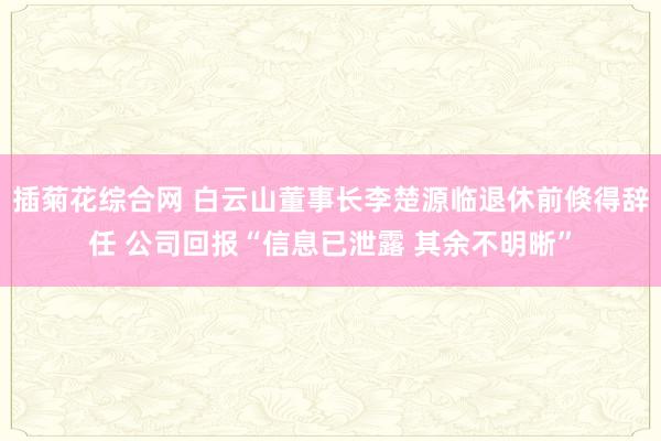插菊花综合网 白云山董事长李楚源临退休前倏得辞任 公司回报“信息已泄露 其余不明晰”