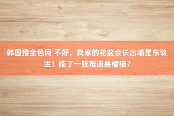 韩国撸全色网 不好，我家的花盆会长出喵星东谈主！临了一张难谈是橘猫？