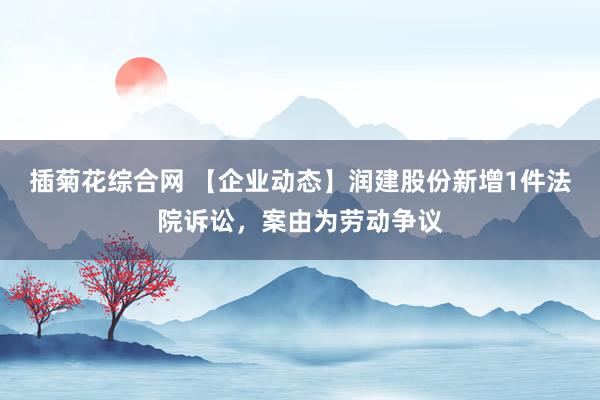插菊花综合网 【企业动态】润建股份新增1件法院诉讼，案由为劳动争议