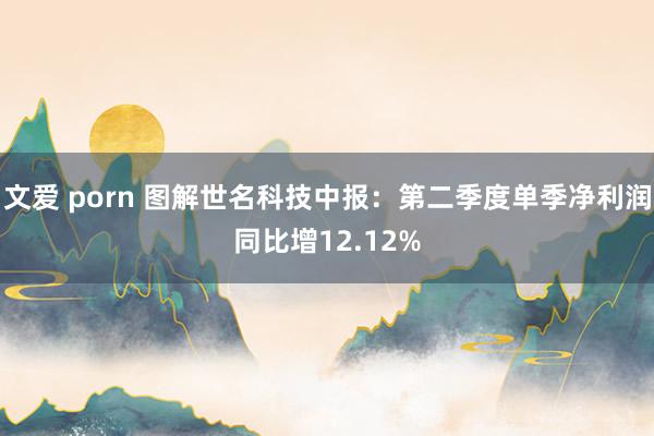 文爱 porn 图解世名科技中报:第二季度单季净利润同比增12.12%