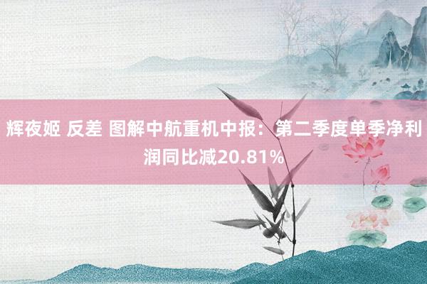 辉夜姬 反差 图解中航重机中报:第二季度单季净利润同比减20.81%