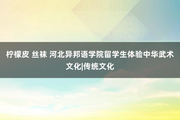 柠檬皮 丝袜 河北异邦语学院留学生体验中华武术文化|传统文化