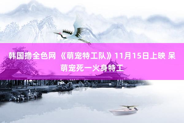 韩国撸全色网 《萌宠特工队》11月15日上映 呆萌宠死一火身特工