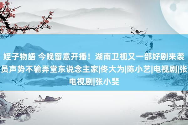 姪子物語 今晚留意开播！湖南卫视又一部好剧来袭，演员声势不输弄堂东说念主家|佟大为|陈小艺|电视剧|张小斐