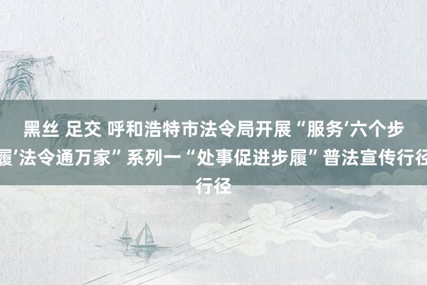 黑丝 足交 呼和浩特市法令局开展“服务‘六个步履’法令通万家”系列一“处事促进步履”普法宣传行径