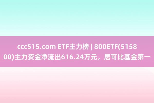 ccc515.com ETF主力榜 | 800ETF(515800)主力资金净流出616.24万元，居可比基金第一