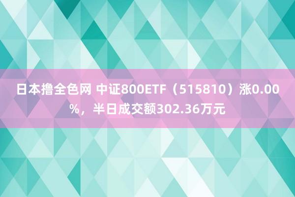 日本撸全色网 中证800ETF（515810）涨0.00%，半日成交额302.36万元