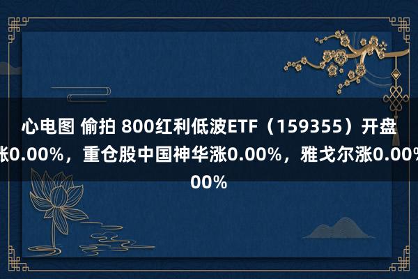 心电图 偷拍 800红利低波ETF（159355）开盘涨0.00%，重仓股中国神华涨0.00%，雅戈尔涨0.00%