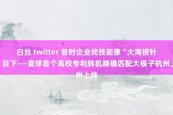 白丝 twitter 昔时企业找技能像“大海捞针”，目下——寰球首个高校专利转机精确匹配大模子杭州上线