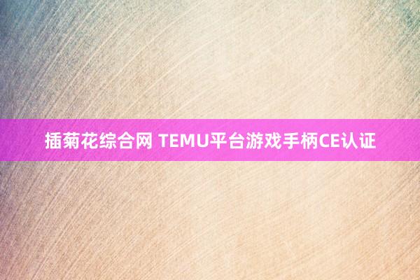插菊花综合网 TEMU平台游戏手柄CE认证