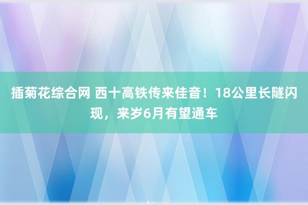 插菊花综合网 西十高铁传来佳音！18公里长隧闪现，来岁6月有望通车