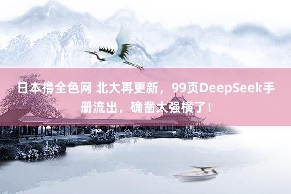 日本撸全色网 北大再更新，99页DeepSeek手册流出，确凿太强横了！