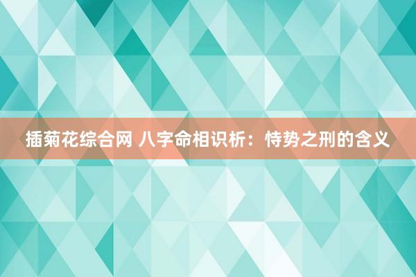 插菊花综合网 八字命相识析：恃势之刑的含义